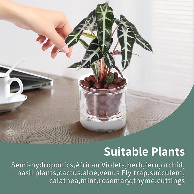 4 Inch Self Watering Pot,African Violet Pot,Bottom Watering Glass Planter for Indoor Plants and Progagation