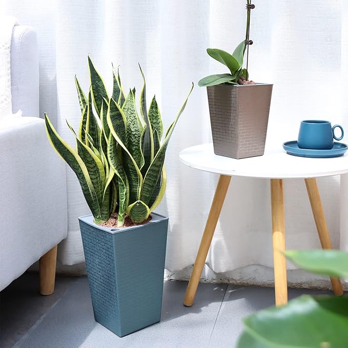 2 Pack Self Watering Planters 10.7" x 6.9" Planter for Indoor Plants Self Watering Violet Pots Plastic Flower Pots Square Planter with a Bag of Clay Pebbles, Blue