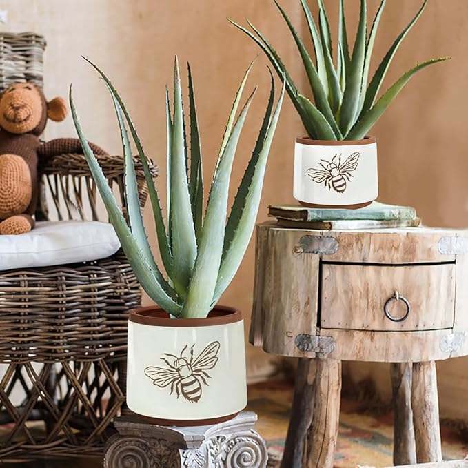 YBX Terracotta Pots Inch with Drainage Holes, Bee Decor, Ceramic Pots for Indoor Plants Flower Pots Outdoor, Succulent, Herbs, Snake Plants (White, 6+4 Inch)
