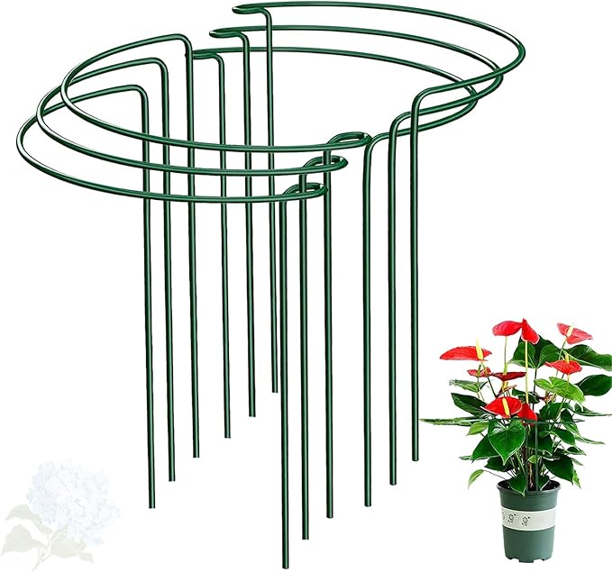 Half Round Snake Plant Support Stakes, Plant Ring for Peonies, Hydrangeas, ZZ, and More - Sturdy, Rust-Proof Plant Support Cages for Indoor and Outdoor Potted Plants (6 Pack, 14x8Inch)
