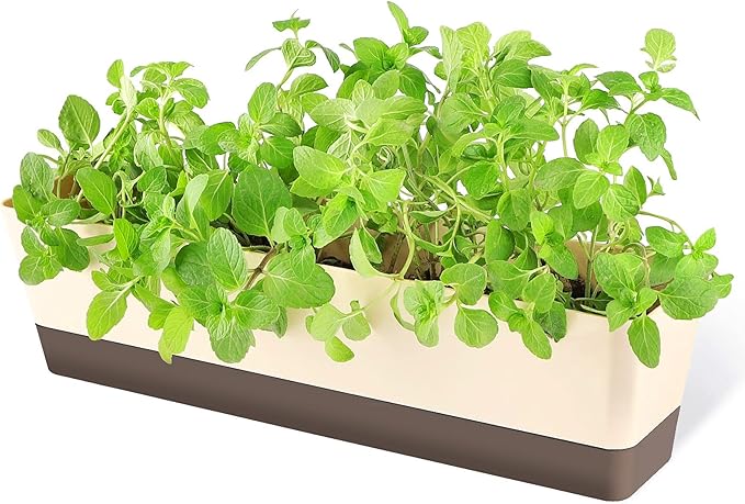 GREANER Window Boxes, 1 Pack 16 x3.8 Inch Indoor Rectangle Planter, Herb Succulent Cactus Window Box with Saucer, Modern Plastic Plant Pot for Windowsill, Garden Balcony, Home Office Outdoor Decor