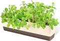 GREANER Window Boxes, 1 Pack 16 x3.8 Inch Indoor Rectangle Planter, Herb Succulent Cactus Window Box with Saucer, Modern Plastic Plant Pot for Windowsill, Garden Balcony, Home Office Outdoor Decor