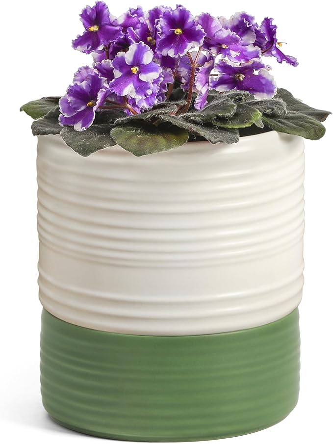 Self Watering Pots for Indoor Plants, 6 Inch Ceramic Self Watering Plant Pot, Planter Pot with Wick Rope and Drainage Hole for African Violet Succulent Herbs (White Matte)