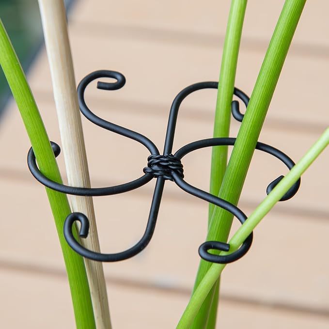 Monstera Plant Stem Support Set - 2.75x2.75 inches 5 Durable Fishbone Design Stabilizers for Indoor Climbing Plants - Perfect Leaf Holders & Gifts for Plant Lovers