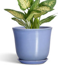 Ceramic Plant Pots - 5.6 Inch Plant Pot for Indoor Outdoor, Round Planters with Drainage Hole and Saucer, Modern Orchid Succulent Pots, Patio Room Decor, House Warming Gifts, Purple-Blue