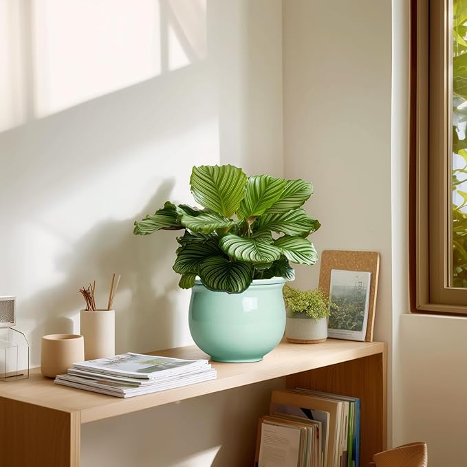 6 Inch African Violet Pots, Ceramic Self Watering Planter with Absorbent Inner Pot, Round Pots for Indoor Plants Outdoor, Ceramic Flower Pot, Office Decor, Plant Lover Gifts, Mint Green