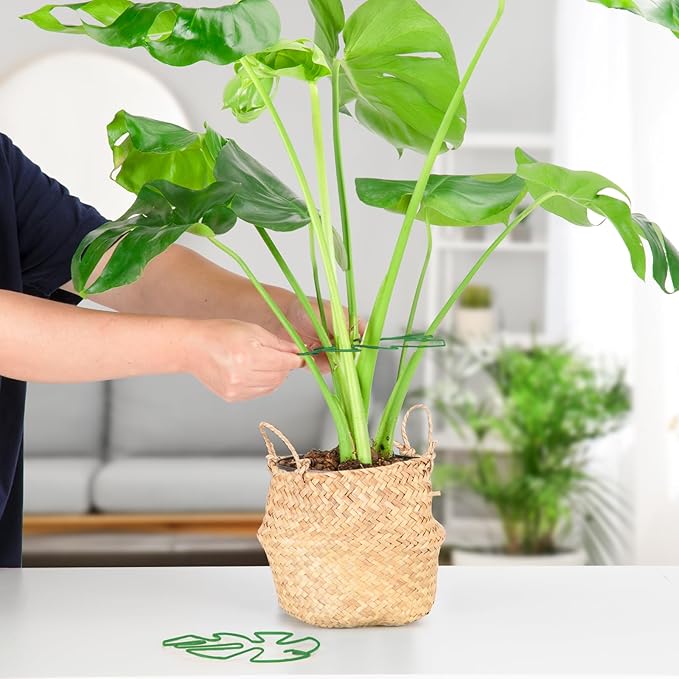 6PCS Iron Monstera Plant Support, Uniquely Designed Indoor Plant Accessories, Stable Plant Support Stakes for Indoor Plant, Turtle Shell Bamboo Clamp Set for Thriving Growth