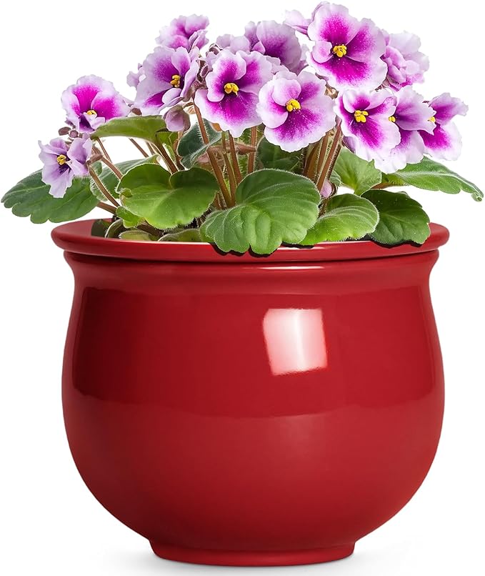 Ceramic Self Watering Planter, 6 Inch African Violet Pots with Absorbent Inner Pot, Round Self Watering Pots, Ceramic Flower Pot for Plants Indoor, Porch Decor, Plant Lover Gifts for Men, Red