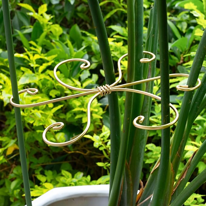 Monstera Plant Stem Support Set of 5 - Durable 7.5in Indoor Stabilizers for Fishbone Cactus - Enhances Growth & Home Decor - Ideal Plant Care Solution