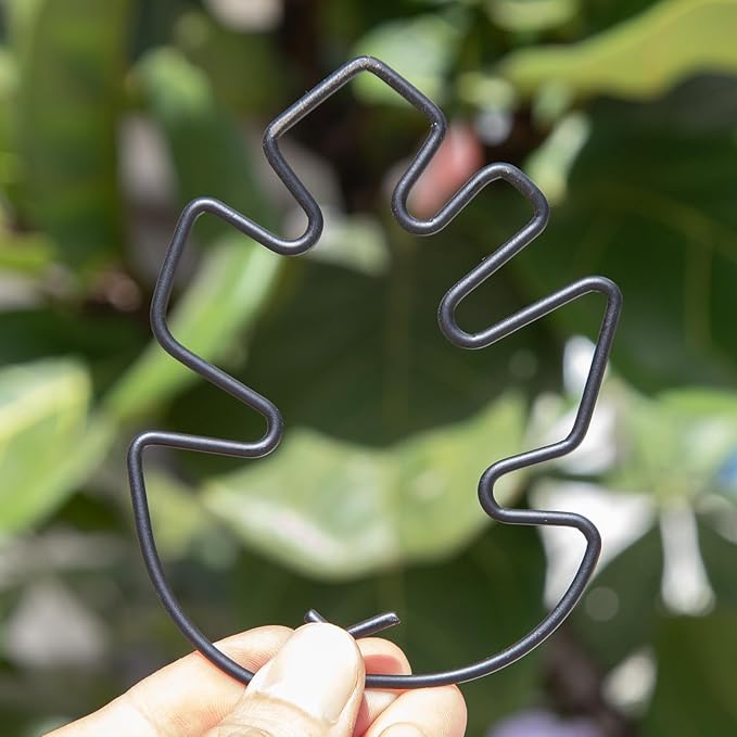 Monstera Plant Stem Support Set - 5pcs 4.13x2.95 inches Durable Supports for Indoor Climbing Plants - Easy-to-Use Stabilizers for Healthy Growth and Elegant Garden Decor
