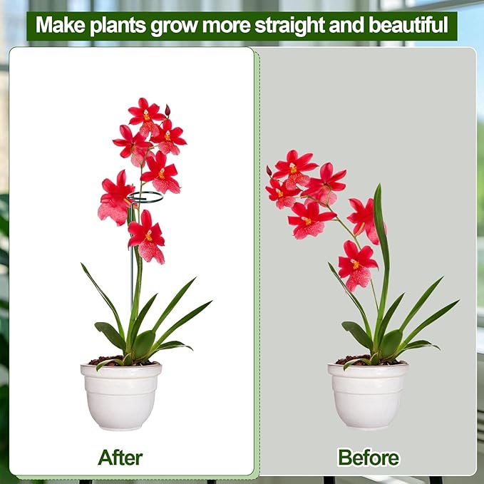 Mwellewm 3 Sets Plant Stakes 12/25/36 Inch Adjustable Plant Support Stakes Tall for Indoor Outdoor Plant Holder Stick Steel Garden Stem Pole Amaryllis Stakes with 15 Clip for Tomato Orchid Lily Flower