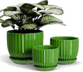 Ton Sin Ceramic Plant Pots,4"+5"+6" Inch,Green Flower Pots with Drainage Holes and Tray,Indoor Planters for Plants Pots,Home Office Decoration GIF for Plants,Succulent Pot Set of 3