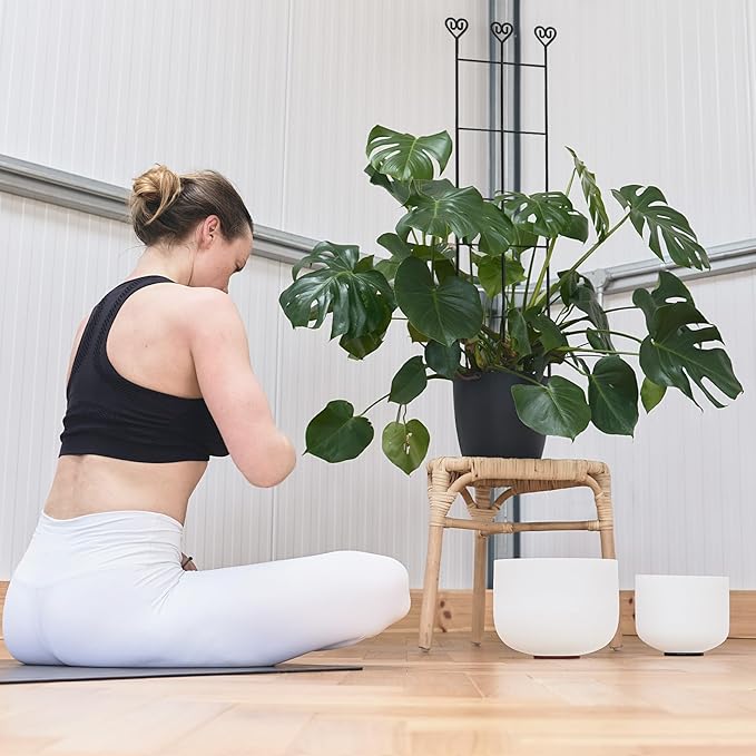 32in Large Indoor Plant Trellis for Climbing Plants, Expandable Metal Garden Trellis for Potted Plants, Tall Plant Supports for Ivy Pothos Hoya Monstera, 4p