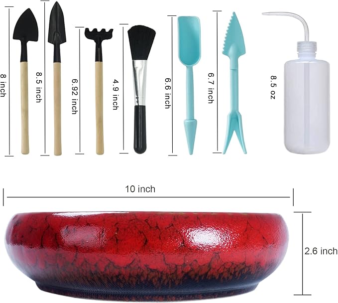 Large Succulent Pots with Drainage & Stand, 10 inch Ceramic Succulent Planter for indoor Plants plus Decorative Rock Stone Pebbles 2.2lb & Garden Tools Set, Perfect for Bonsai, Cactus Beginner