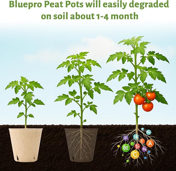 120 Packs 3.15 Inch Peat Pots, Biodegradable Pots for Seedlings with Drainage Holes, Herb Seed Starter