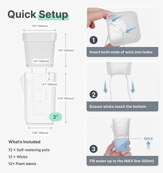 12 Pack 2" Mini Self Watering Pots for Indoor Plants,Small Clear Plastic Planters,Alocasia Corm Propagation,African Violet,Cutting,Seeding,Water Level Indicator,Drainage Hole,12 Plant Label