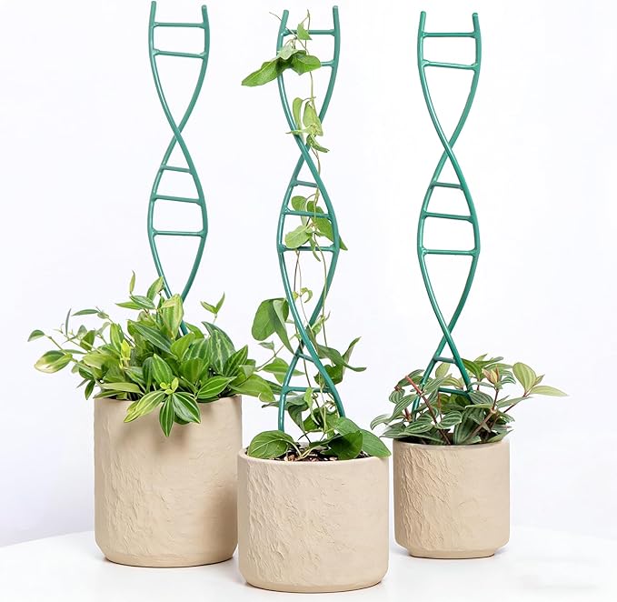 Indoor Plant Trellis for Potted Plants - Upgraded Metal Spiral Design for Climbing Plants, Durable Powder Coated Support for Small Houseplant Pots, Ideal for Indoor & Outdoor Use