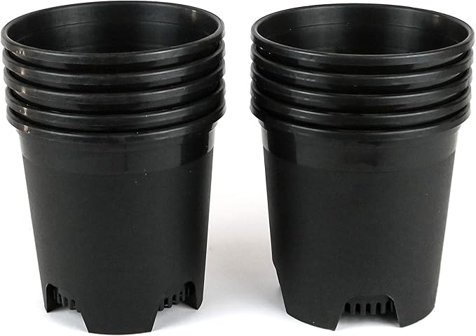 5.5 Inch Gardening Flower Pots 10-Pack Black Pot Liners 0.5 Gallon Nursery Pot Plastic Planters for Outdoor Indoor Plants with Drainage Holes