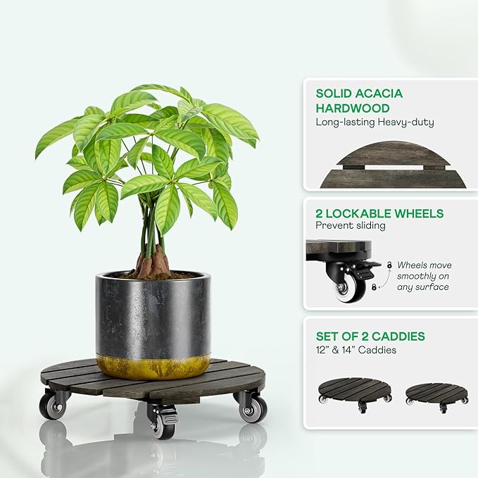 Idzo 2pack Wood Plant Caddy With Wheels Heavy Duty, 264 Lbs Capacity, 12 Inch Acacia Hardwood Plant Dolly, Plant Stand with 360° Lockable Wheels for Plant Pots, Heavy Objects Hauling - Black