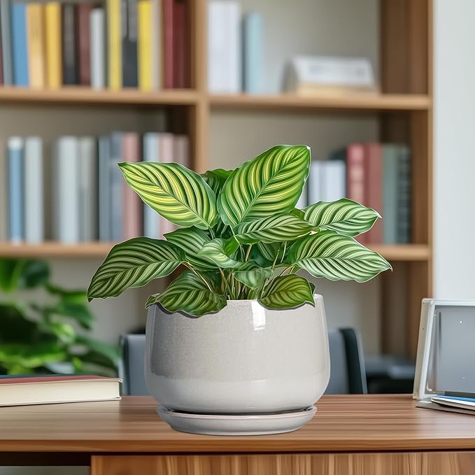 G EPGardening Ceramic Plant Pots - 7 Inch Plant Pot with Drainage and Saucer, Ceramic Planters for Indoor Outdoor Plants, Modern Round Planter, Room Decor, Gardening Gifts for Women Men, Light Grey