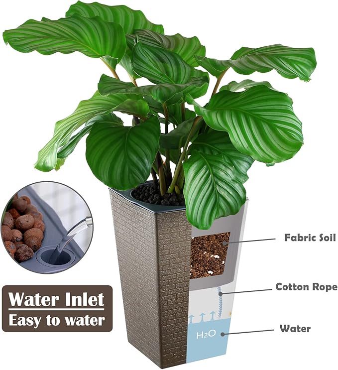 2 Pack Self Watering Planters 10.7" x 6.9" Planter for Indoor Plants Self Watering Violet Pots Plastic Flower Pots Square Planter with a Bag of Clay Pebbles, Bronze