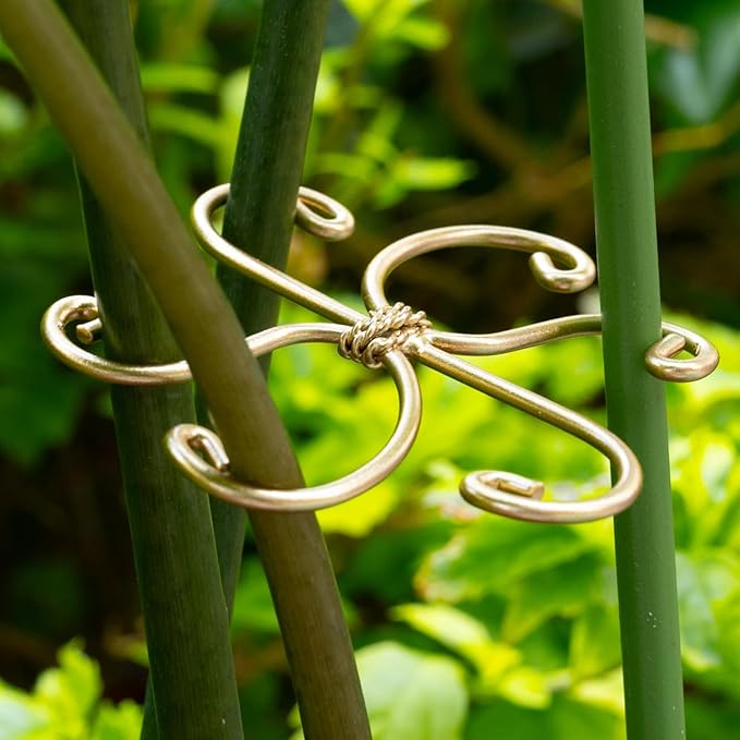 Monstera Plant Stem Support Set - 5 Durable Stabilizers (2.75"x2.75") for Indoor Plants, Leaf Holder & Cactus Stake - Keep Monstera Healthy & Upright - Ideal Gift for Plant Lovers