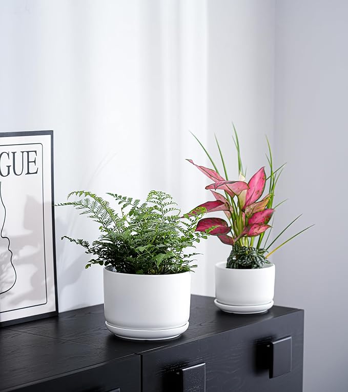 Ton Sin Plant Pots, 4.1+5.1+6.5 inch, Set of 3, Ceramic Planters with Drainage Hole and Saucer, Indoor Flower Pot with Drainage Hole, Gifts for Mom(Matte White)