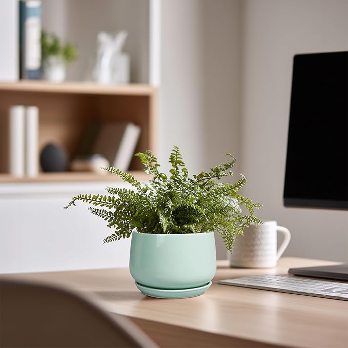 G EPGardening Ceramic Plants Pots - 4 inch Plant Pots Indoor Outdoor, Small Succulent Planter with Drainage Hole & Tray, Modern Flower Pot, Round Decorative Planters, Office Decor, Garden Gift, Green