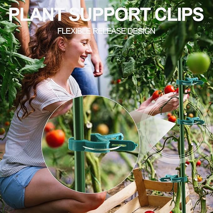 40 Pcs Plant Support Clips,Flower and Vine,Garden Tomato Plant Support Clips for Supporting Stems,Vines Grow Upright Climbing,Tool for Straightening,Tomato Cage,Trellis. 2 Sizes in one Pack