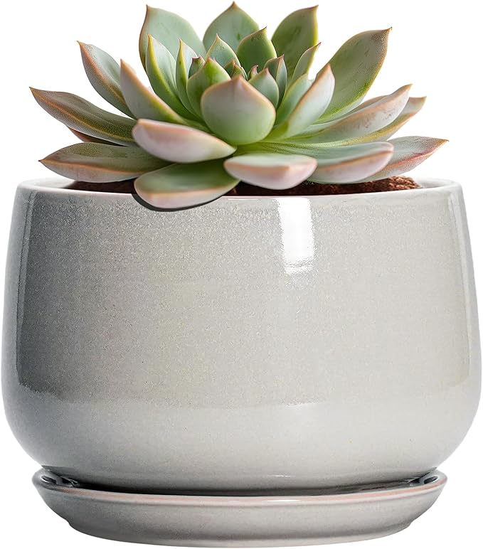 G EPGardening Ceramic Pots for Plants - 6 Inch Plant Pot with Drainage and Ceramic Tray, Modern Succulent Pots, Round Planters for Indoor Plants, Living Room Decor, Gifts for Plant Lovers, Light Grey