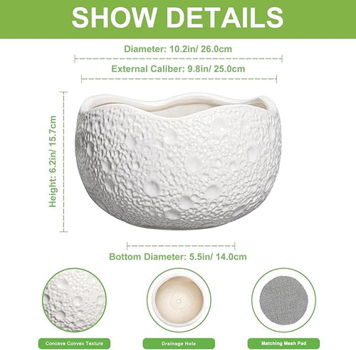 10 Inch Plant Pot - Ceramic Planter for Indoor Outdoor, Round Bonsai Pots, Decorative Flower Pots with Drainage Hole, Modern Unique Planters, House Decor, Home Gifts, White