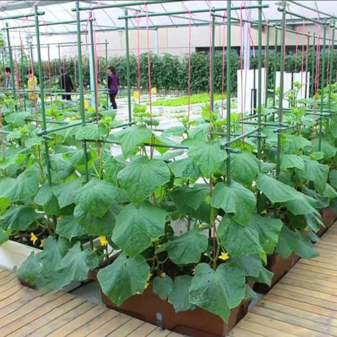 3Feet 36inch Garden Stakes Sturdy Plant Sticks Support Tomato Stakes for Vegetable,Pack of 20