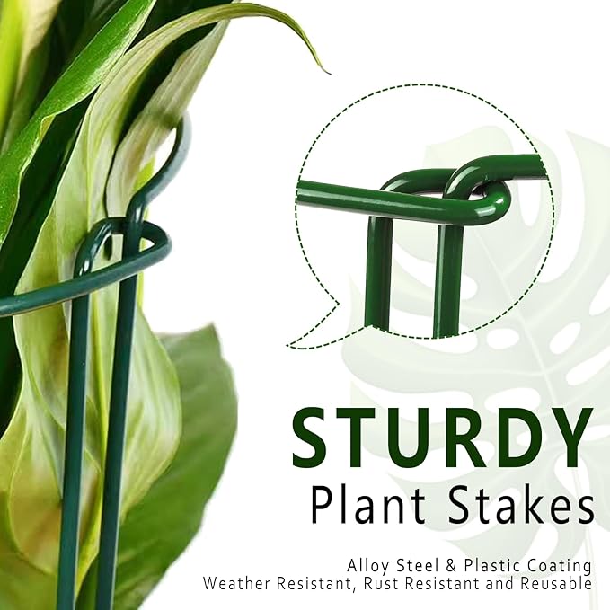 6 Pack Plant Support Stakes, 15.8" Half Round Metal Garden Plant Supports for Indoor Plants, Green Plant Cage Ring for Monstera, Peony, Hydrangea, Potted Plant Holder Sticks (10" Wide)