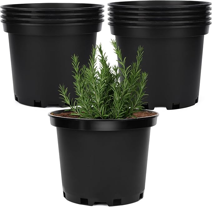 GREANER 2 Gallon Nursery Pots for Plants, 10 PCS Plastic Plant Pot with Drainage Holes for Indoor Outdoor, Garden, Greenhouse(Black)