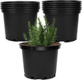 GREANER 2 Gallon Nursery Pots for Plants, 10 PCS Plastic Plant Pot with Drainage Holes for Indoor Outdoor, Garden, Greenhouse(Black)