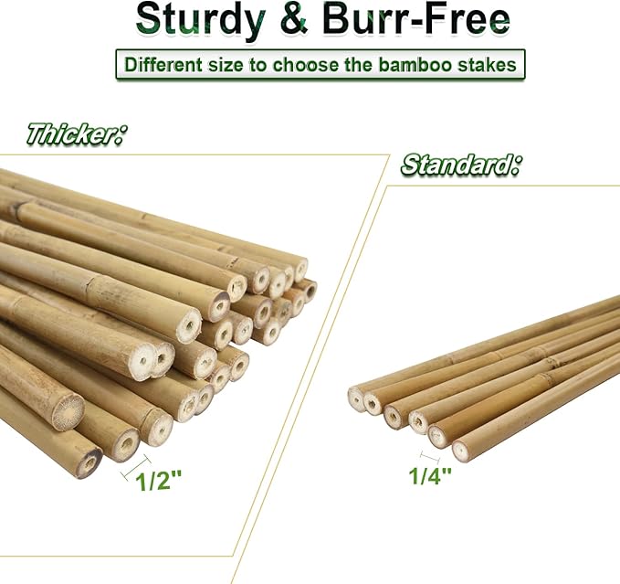 25pcs 1/2" D Thicker Heavy Duty Bamboo Stakes, 4FT Plant Stakes, Natural Garden Stakes for Tomato, Bean, Flowers,Trees Potted and Climbing Plant Support