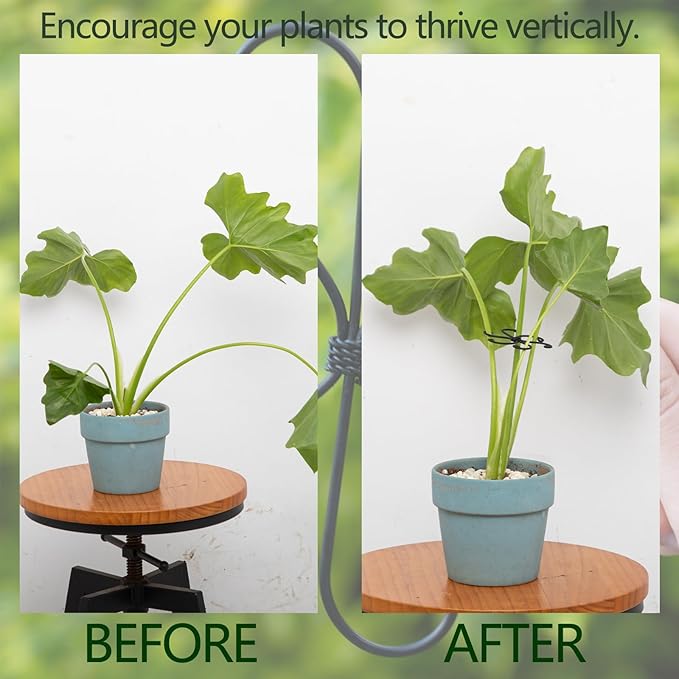 Monstera Plant Stem Support Set - 2.75x2.75 inches 5 Durable Fishbone Design Stabilizers for Indoor Climbing Plants - Perfect Leaf Holders & Gifts for Plant Lovers