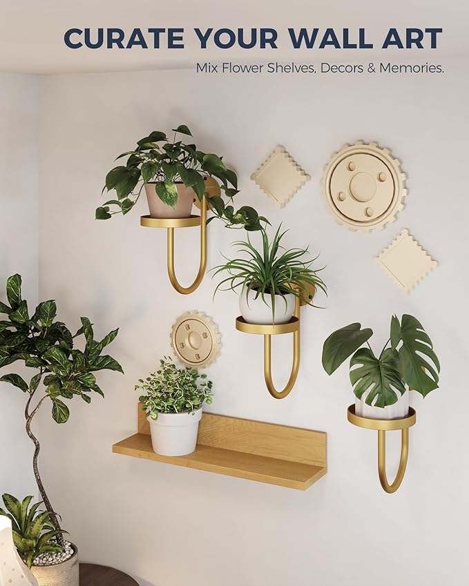 Bamworld Wall Plant Holder Wall Planters for Indoor Plants Plant Hanger Indoor Window Plant Shelves Hanging Plant Holder Window Plant Hanger Plant Decor Golden 3pcs