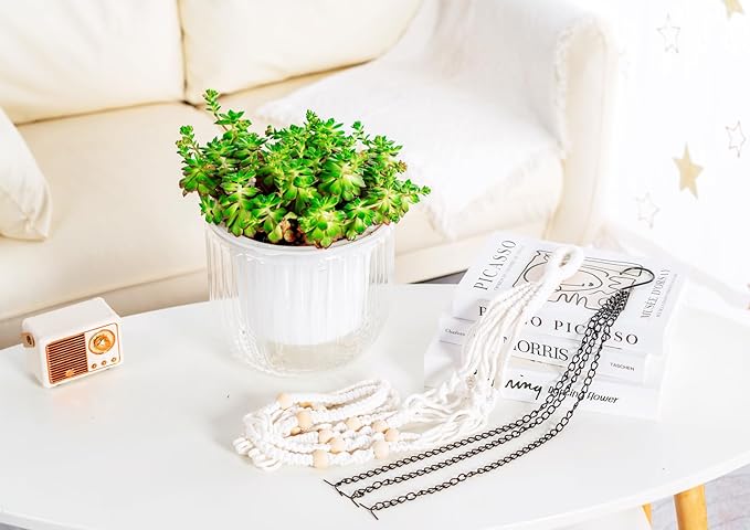 Melphoe Self Watering Hanging Planters for Indoor Plants, 1 Pack 8.3 Inch Outdoor Hanging Plant Pot Basket, 2 Kinds of Hangers Macrame 35.5’’ & Metal Chain 19.6’’ for Garden Home Decor