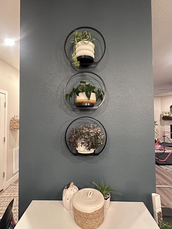 Wall Planters for Indoor Plants,Plant Frames Wall Decor Living Room Plant Stand Hanging Wall Plants Holder to Hold Large Pots Wall Plant Hanger Window Plant Shelves for Outdoor Entryway