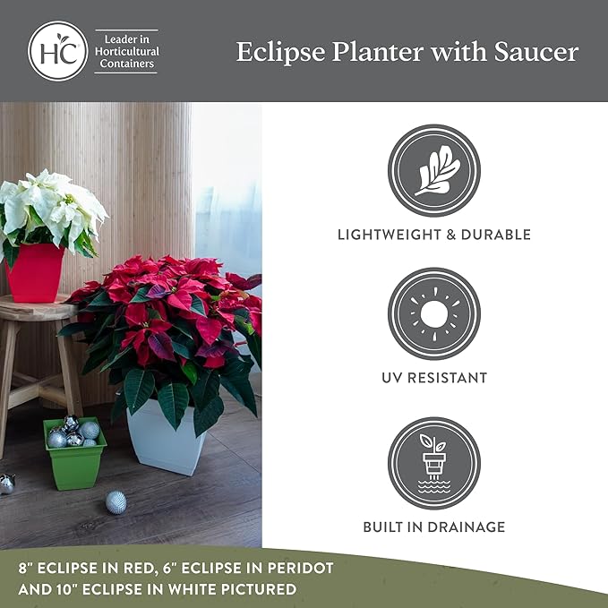 The HC Companies Eclipse Square Plastic Planter w/Attached Saucer - Outdoor & Indoor Plant Pot with Drainage Holes - Lightweight, UV-Resistant Plastic Pots for Plants (6" Cappuccino, Pack of 1)