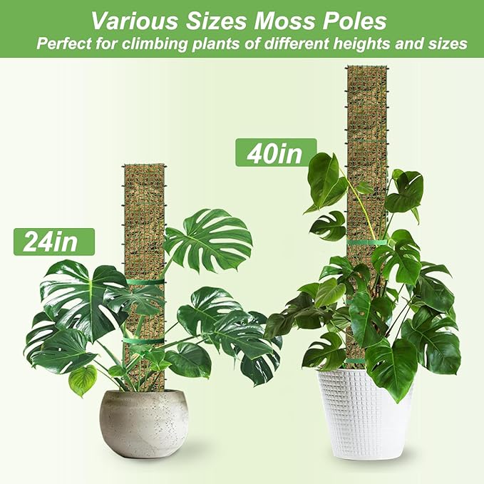 60"/40"/24" Metal Moss Pole, D Shape Sphagnum Moss Pole, Moss Poles for Climbing Plants, Monstera, Indoor Climbing Plants (2 Each of 40" 24")