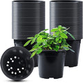 50Pcs Nursery Pots Variety Pack Plastic Pots for Plants,5 inch Seedling Pots with Drainage Holes Indoor Outdoor Flower for Succulent Vegetable Herb