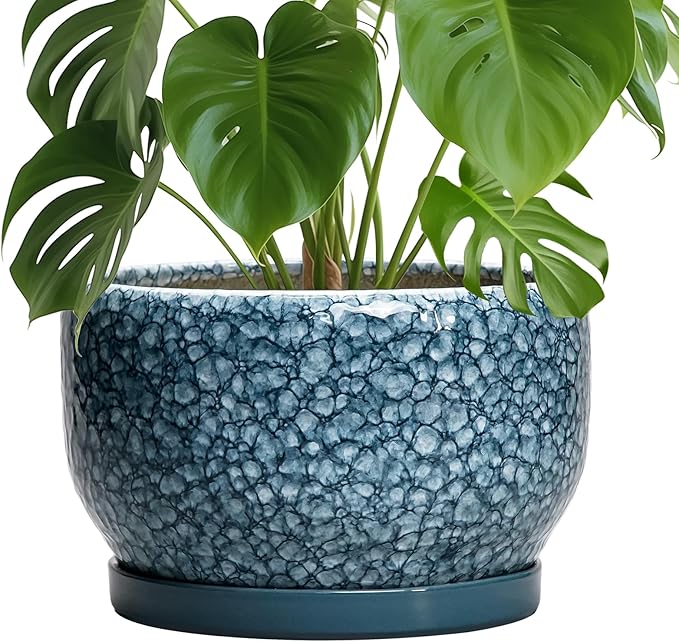 SQOWL Ceramic Planter - 10 Inch Plant Pot Indoor with Drainage Hole and Saucer, Decorative Flower Pots Outdoor, Ceramic Plant Pots, Large Round Planter, Home Patio Decor, House Warming Gifts, Blue