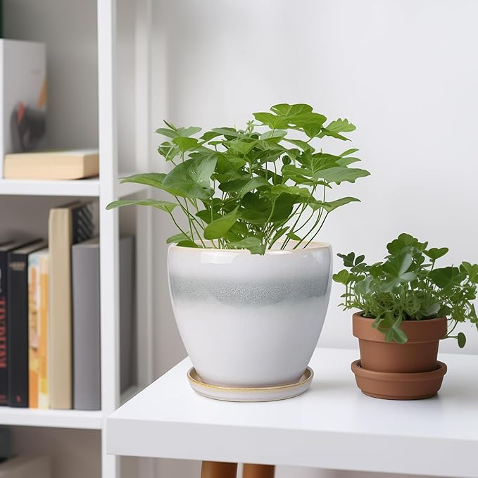 6.3 Inch Plant Pot - Ceramic Planters for Indoor Ourdoor Plants, Modern Succulent Pot, Round Planter with Drainage Hole and Saucer, Room Office Garden Home Decor, Plant Lover Gift, White-Grey
