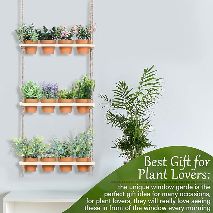 3 Tiered Hanging Herb Planters Hanging Herb Garden Wall with 12 Pcs Nursery Pot Wood Vertical Window Plant Shelf with Holes and Rope Plastic Flower Pots Spring Garden Indoor Kitchen