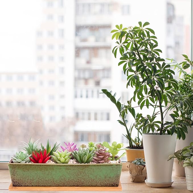 Succulent Pots - Large Succulent Planter Pots with Drainage, 12 Inch Long Rectangle Bonsai Pot with Bamboo Tray Shallow Ceramic Cactus Flower Planter Window Box for Home Garden Decor (Green)