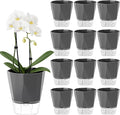 12 Pack Self Watering Plant Pots 6 Inches Self-Watering Planters for Indoor and Outdoor Plants African Violet Succulent Pots Clear Pot for Plants Large Herb Orchid Flower Houseplant Plant, Dark Grey