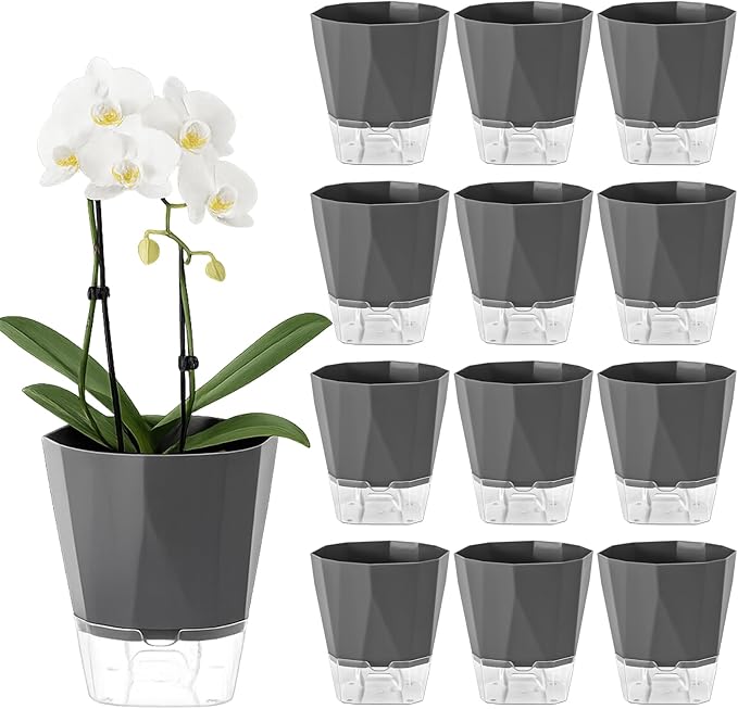 12 Pack Self Watering Plant Pots 6 Inches Self-Watering Planters for Indoor and Outdoor Plants African Violet Succulent Pots Clear Pot for Plants Large Herb Orchid Flower Houseplant Plant, Dark Grey