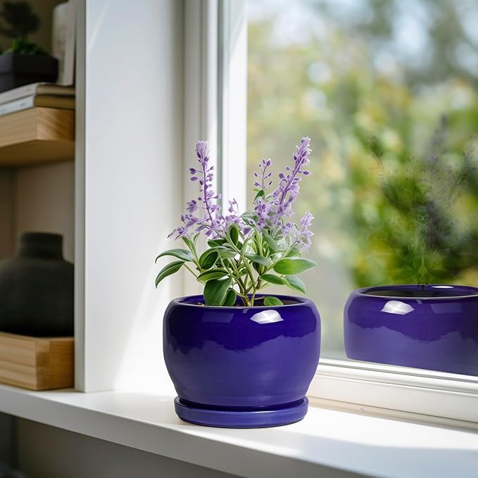 SQOWL Ceramic Planters for Indoor Plants - 6 Inch Plant Pot with Drainage Hole and Saucer, Round Small Planter, Modern Decorative Flower Pot Outdoor, Living Room Decor, Garden Gifts for Women, Blue